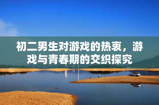 初二男生对游戏的热衷，游戏与青春期的交织探究