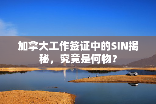 加拿大工作签证中的SIN揭秘，究竟是何物？