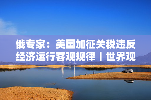 俄专家：美国加征关税违反经济运行客观规律丨世界观
