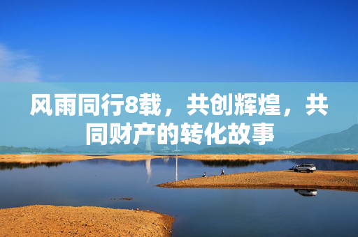 风雨同行8载，共创辉煌，共同财产的转化故事