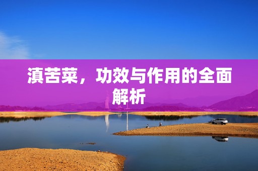 滇苦菜，功效与作用的全面解析