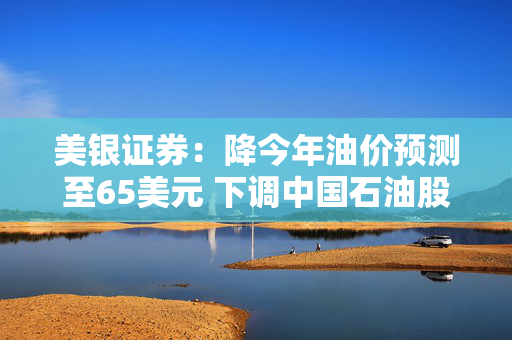 美银证券：降今年油价预测至65美元 下调中国石油股份中国石油化工股份目标价