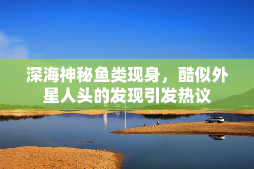 深海神秘鱼类现身，酷似外星人头的发现引发热议