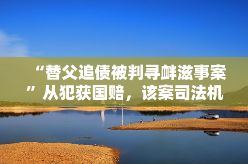“替父追债被判寻衅滋事案”从犯获国赔，该案司法机关共赔偿217万元