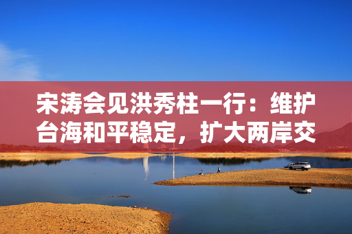宋涛会见洪秀柱一行：维护台海和平稳定，扩大两岸交流合作