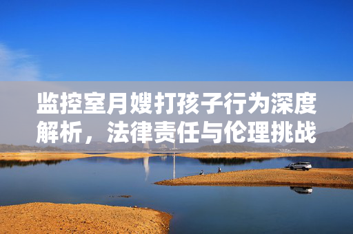 监控室月嫂打孩子行为深度解析，法律责任与伦理挑战