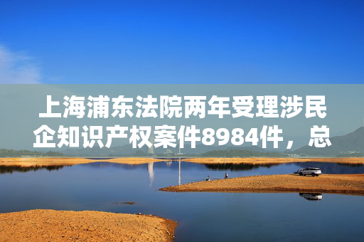 上海浦东法院两年受理涉民企知识产权案件8984件，总标的超27亿元