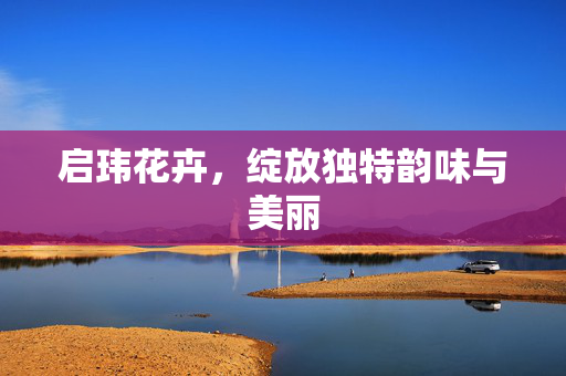 启玮花卉，绽放独特韵味与美丽