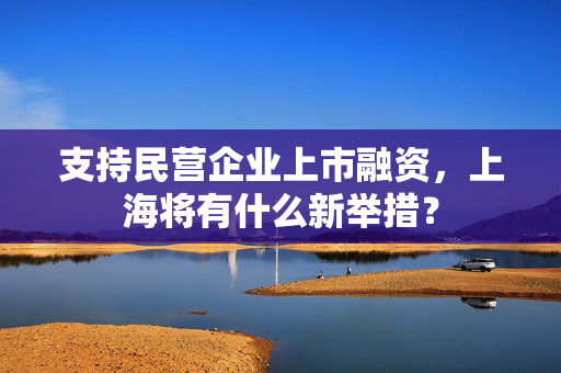 支持民营企业上市融资，上海将有什么新举措？