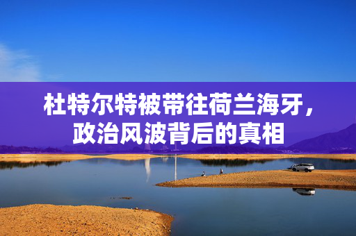 杜特尔特被带往荷兰海牙，政治风波背后的真相