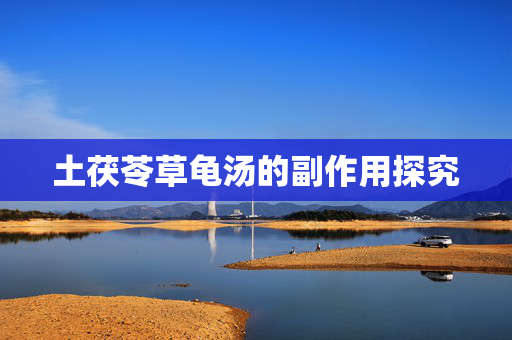 土茯苓草龟汤的副作用探究