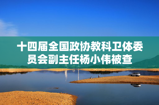 十四届全国政协教科卫体委员会副主任杨小伟被查