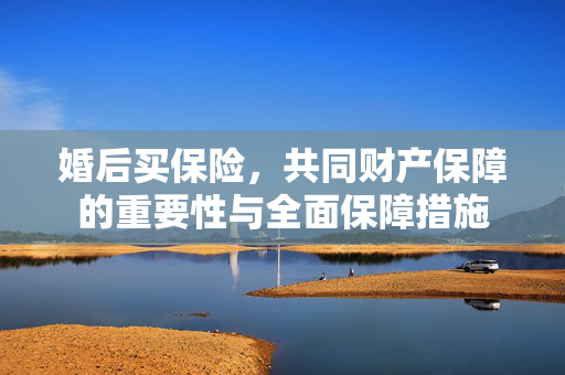 婚后买保险，共同财产保障的重要性与全面保障措施