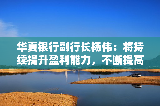 华夏银行副行长杨伟：将持续提升盈利能力，不断提高分红水平