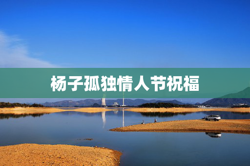 杨子孤独情人节祝福