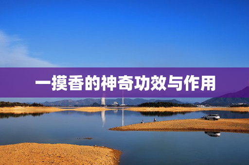 一摸香的神奇功效与作用