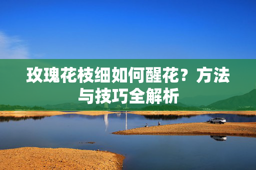 玫瑰花枝细如何醒花？方法与技巧全解析