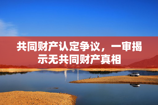 共同财产认定争议，一审揭示无共同财产真相