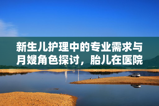 新生儿护理中的专业需求与月嫂角色探讨，胎儿在医院是否需要月嫂？