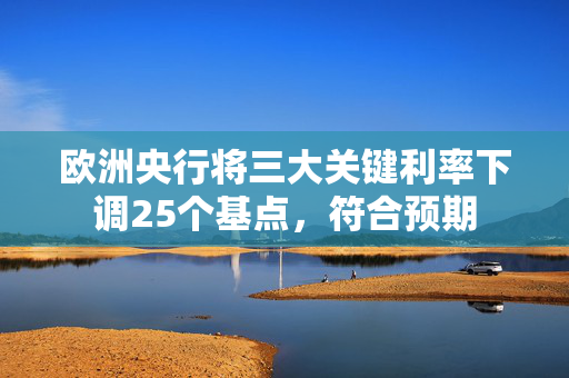 欧洲央行将三大关键利率下调25个基点，符合预期