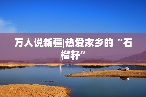 万人说新疆|热爱家乡的“石榴籽”