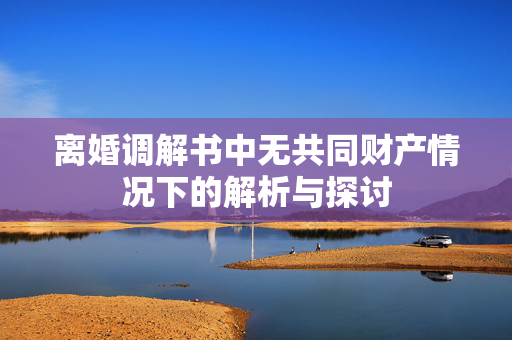 离婚调解书中无共同财产情况下的解析与探讨