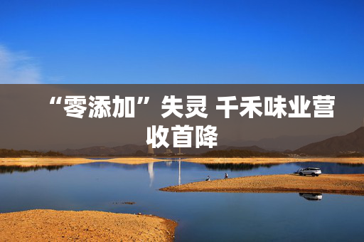 “零添加”失灵 千禾味业营收首降