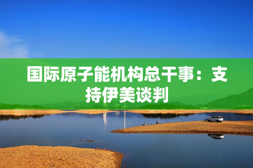 国际原子能机构总干事：支持伊美谈判