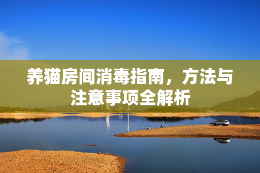 养猫房间消毒指南，方法与注意事项全解析