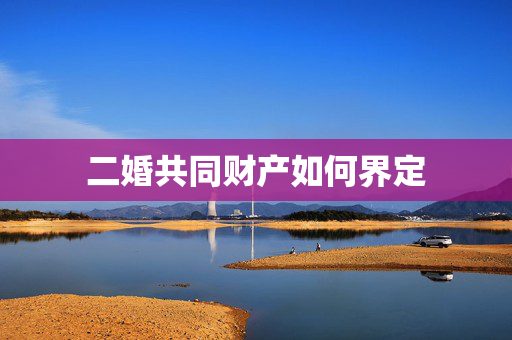 二婚共同财产如何界定