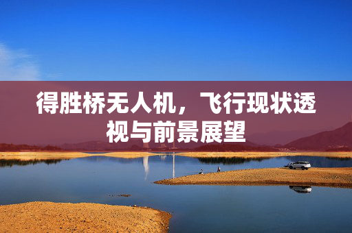 得胜桥无人机，飞行现状透视与前景展望