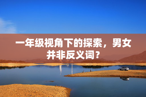 一年级视角下的探索，男女并非反义词？