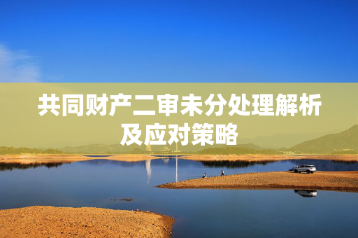 共同财产二审未分处理解析及应对策略