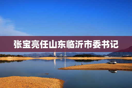 张宝亮任山东临沂市委书记