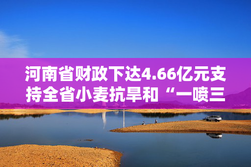 河南省财政下达4.66亿元支持全省小麦抗旱和“一喷三防”