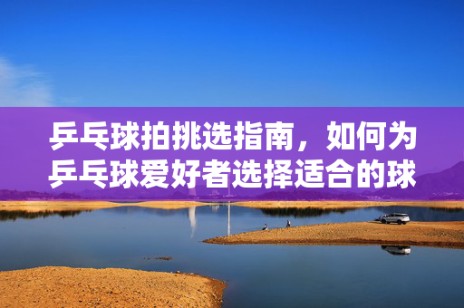 乒乓球拍挑选指南，如何为乒乓球爱好者选择适合的球拍