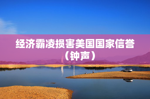 经济霸凌损害美国国家信誉（钟声）