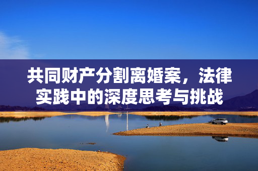 共同财产分割离婚案，法律实践中的深度思考与挑战
