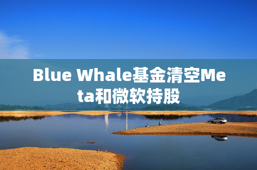 Blue Whale基金清空Meta和微软持股