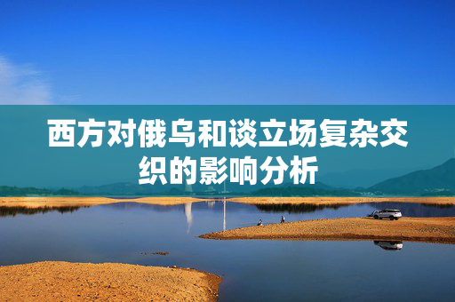 西方对俄乌和谈立场复杂交织的影响分析