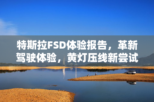 特斯拉FSD体验报告，革新驾驶体验，黄灯压线新尝试