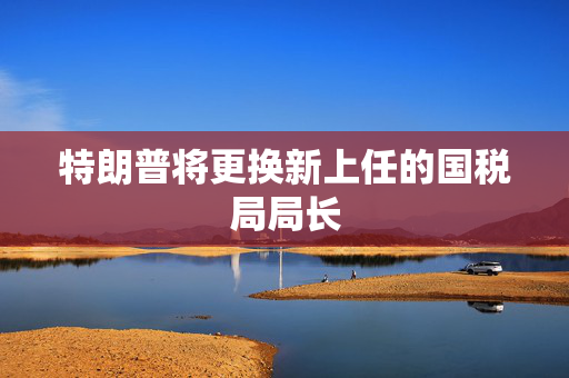 特朗普将更换新上任的国税局局长