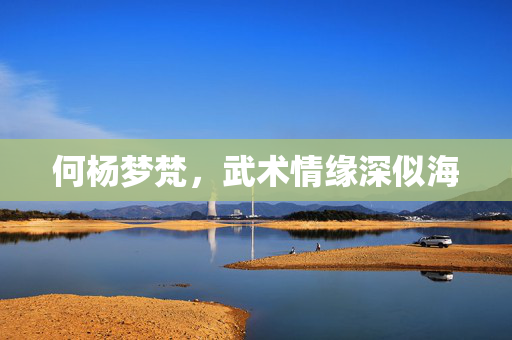 何杨梦梵，武术情缘深似海