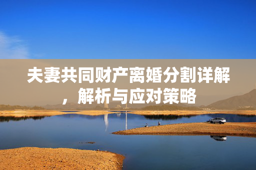 夫妻共同财产离婚分割详解，解析与应对策略