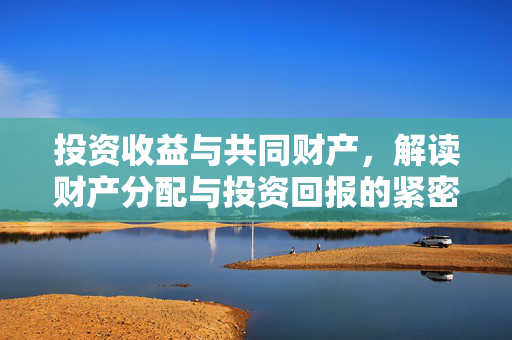 投资收益与共同财产，解读财产分配与投资回报的紧密联系