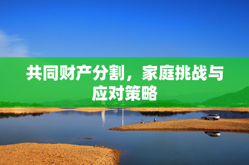 共同财产分割，家庭挑战与应对策略