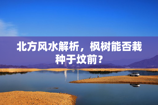 北方风水解析，枫树能否栽种于坟前？