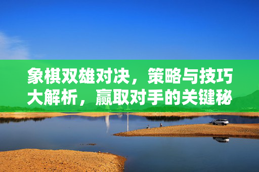象棋双雄对决，策略与技巧大解析，赢取对手的关键秘籍