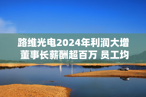 路维光电2024年利润大增 董事长薪酬超百万 员工均薪亦涨