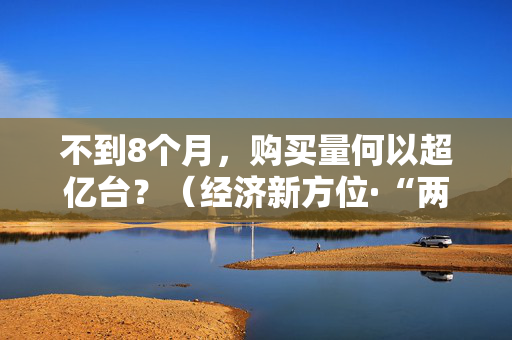 不到8个月，购买量何以超亿台？（经济新方位·“两新”政策发力显效）